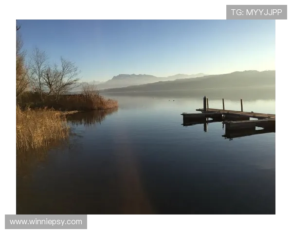 回到藏身之处：在喧嚣世界中寻觅内心的宁静港湾