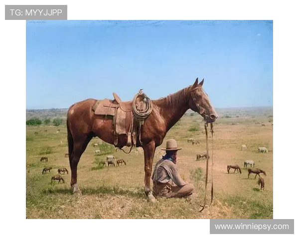 德克萨斯州的巴黎：当牛仔遇上香颂，一场意想不到的浪漫邂逅